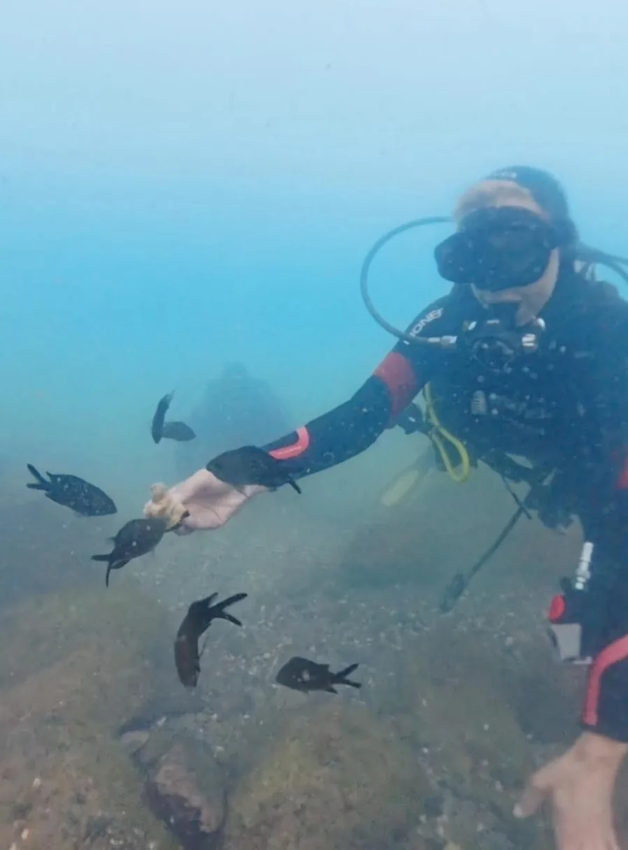 Активен отдих в Созопол – Sub Diving - гмуркане за начинаещи, подводни разходки – снимка 3