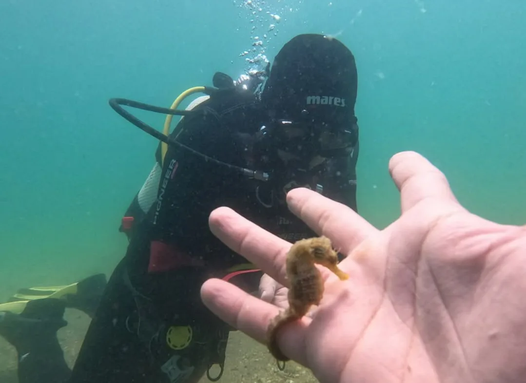 Активен отдих в Созопол – Sub Diving - гмуркане за начинаещи, подводни разходки – снимка 5