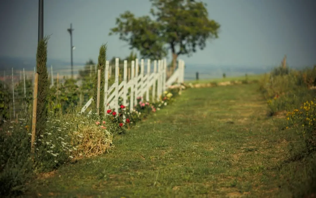 Красиви места за фотосесии в Дъбравите – Little Tuscany/Малката Тоскана - градина фотолокация – снимка 3