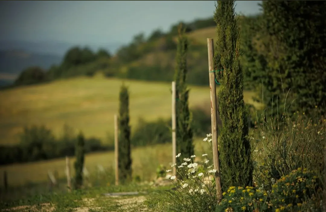 Красиви места за фотосесии в Дъбравите – Little Tuscany/Малката Тоскана - градина фотолокация – снимка 4
