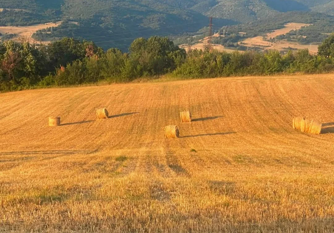 Красиви места за фотосесии в Дъбравите – Little Tuscany/Малката Тоскана - градина фотолокация – снимка 6