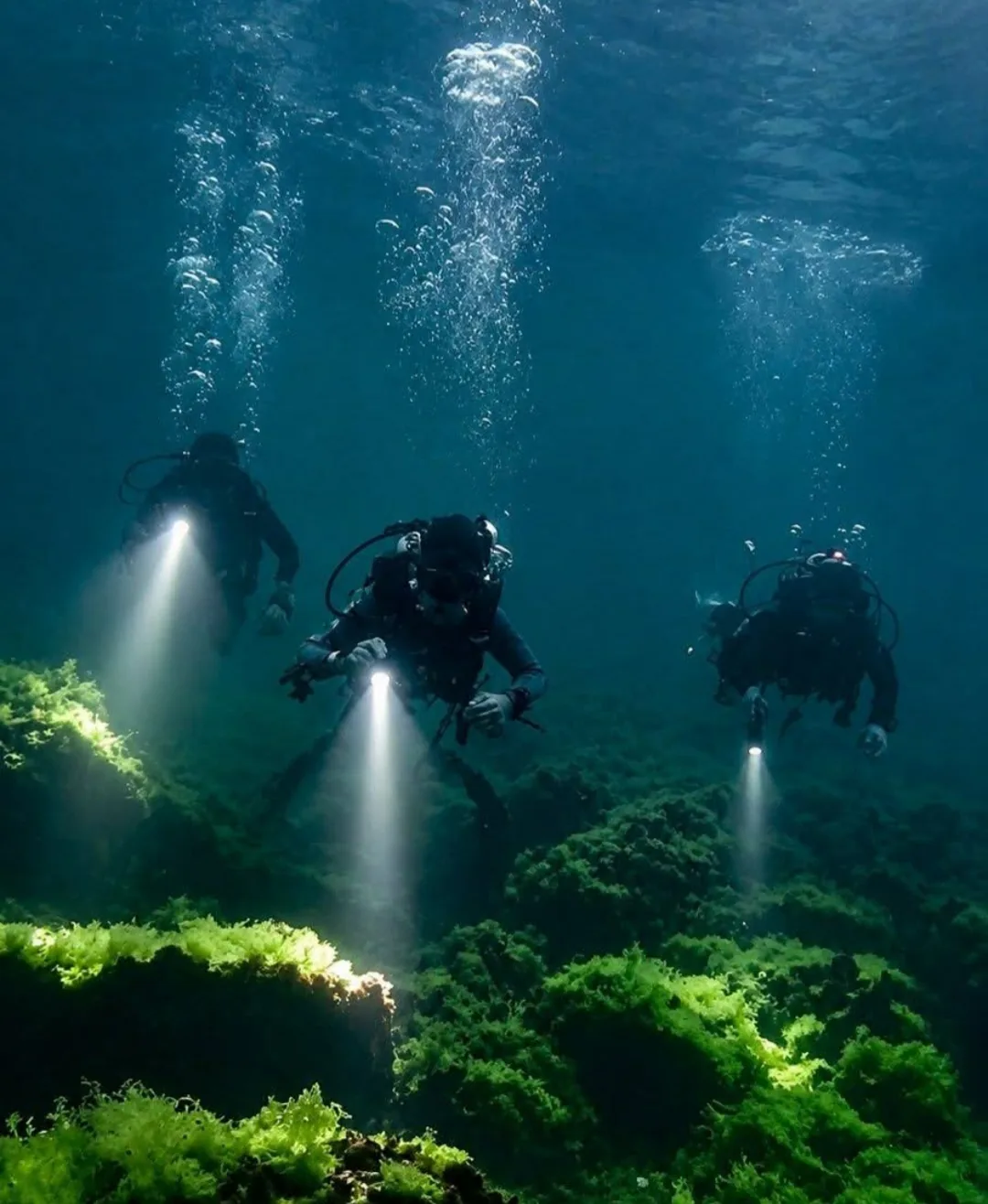 Активен отдих в Тюленово – Rock Diving - водолазен център в Тюленово – снимка 2