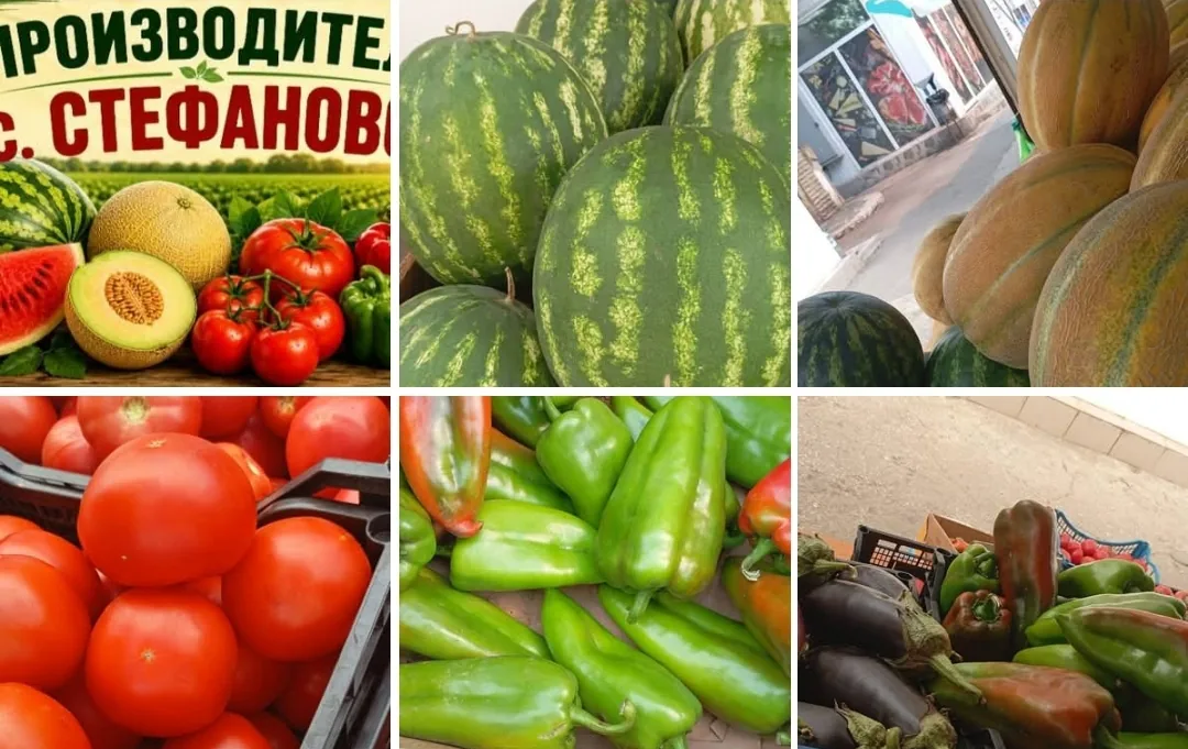 Фермерски пазар в Стефаново – Зеленчукова градина „Вековният дъб“ село Стефаново, област Добрич – снимка 3