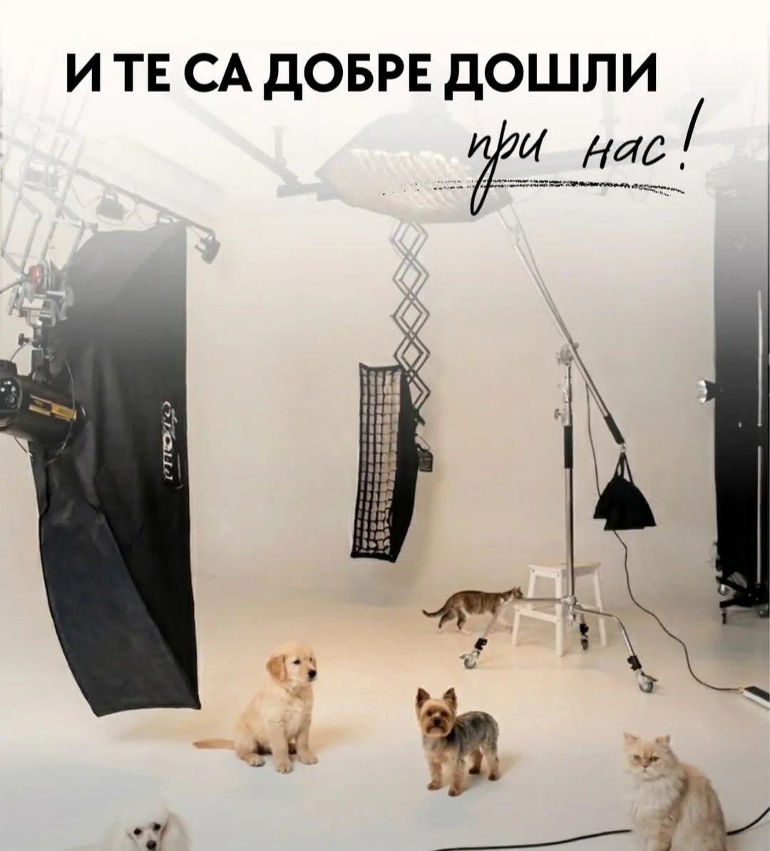 Фотостудиа в Бургас – Фотостудио Photo Lounge by Violeta Pefticheva – снимка 7