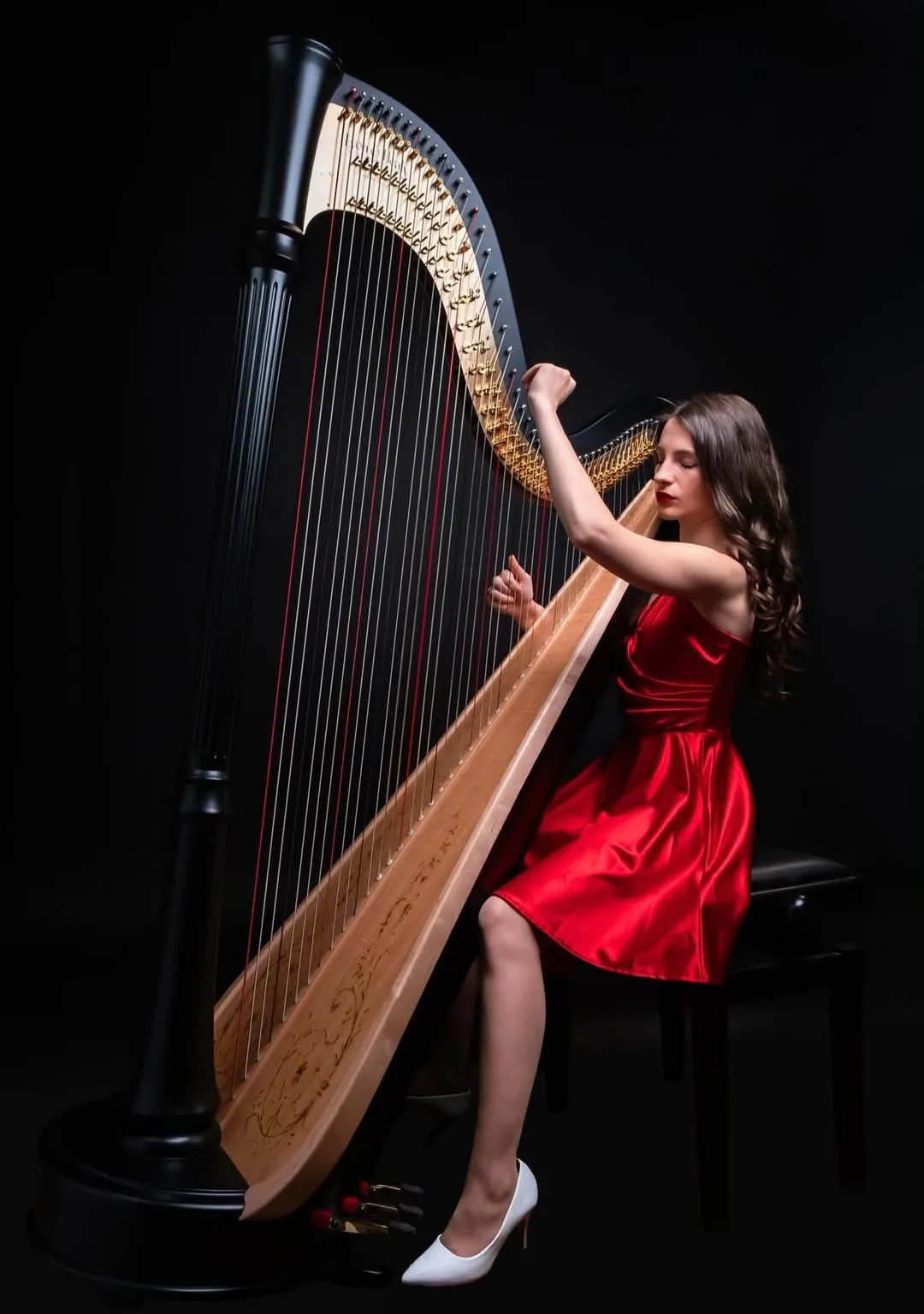 Музиканти инструменталисти в цялата България – Anna-Maria Rizova Harp - арфа на живо – снимка 2