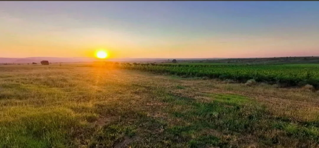 Винарни и винарски изби в Коларово – Malkata Zvezda Winery / Малката Звезда - винарска изба – снимка 3