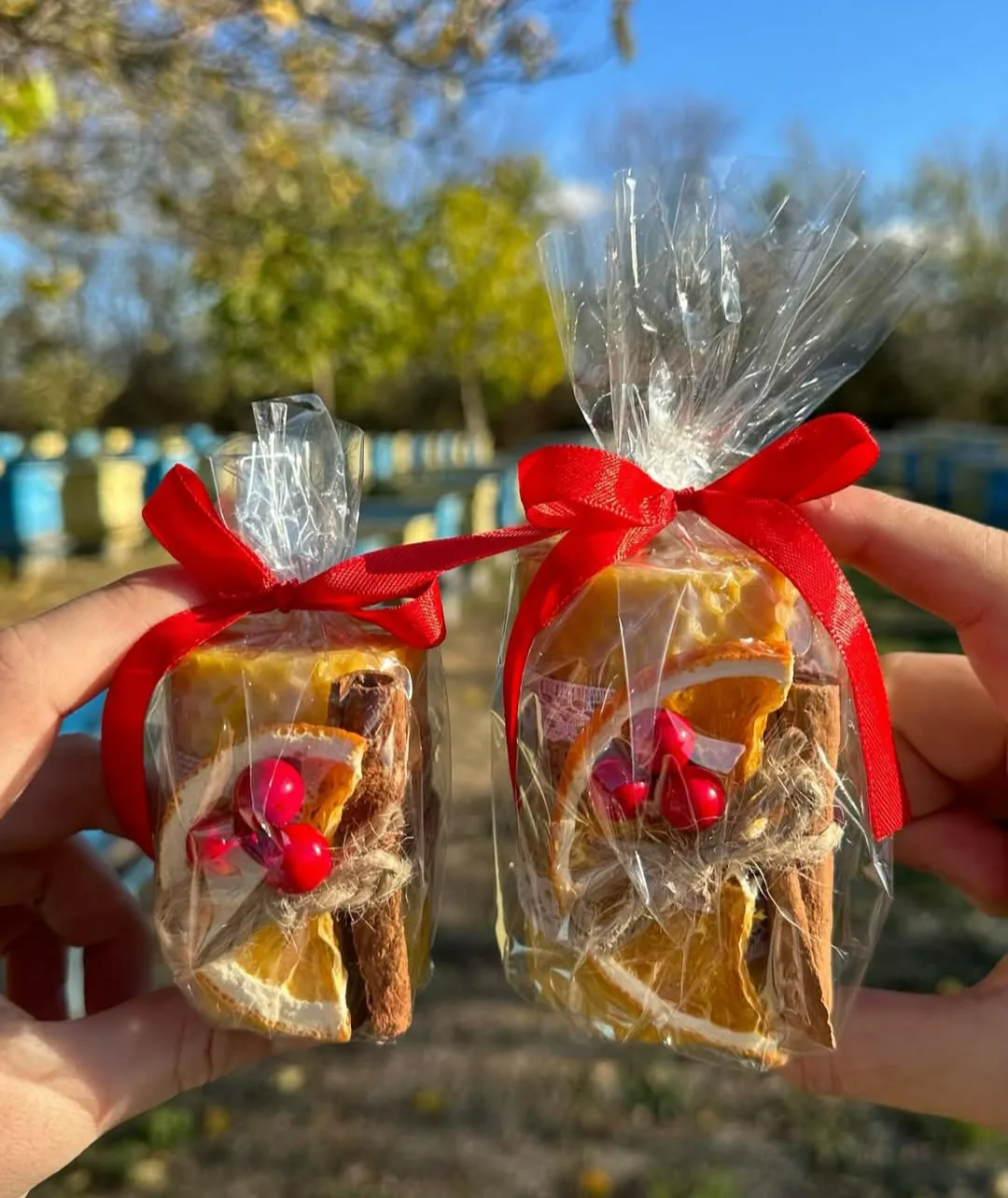 Фермерски пазар в Церовец – Apidor /Кошерите/ – мед и пчелни продукти от производител, с.Церовец, област Русе – снимка 5