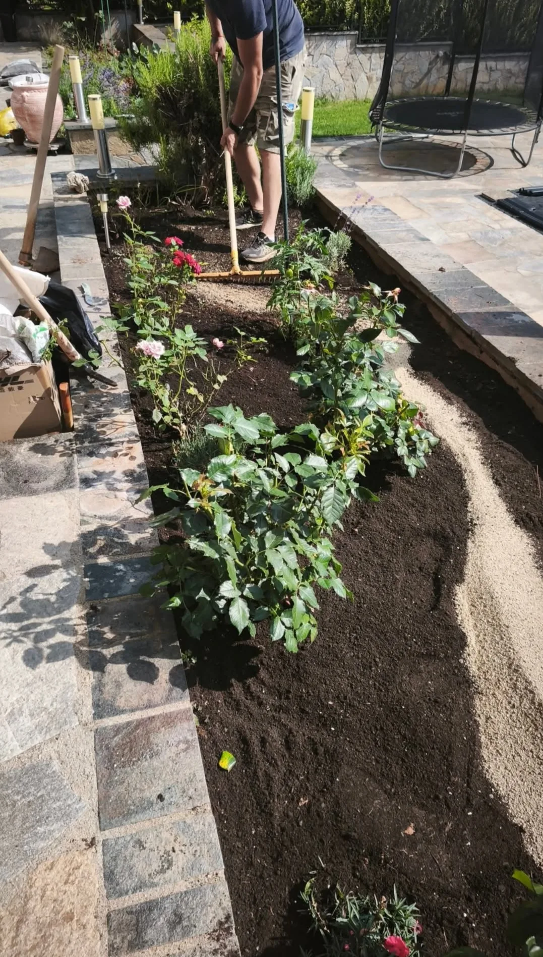 Фермерски пазар в Стара Загора – Happy Garden / Щастливата градина – професионални градинарски услуги – снимка 2