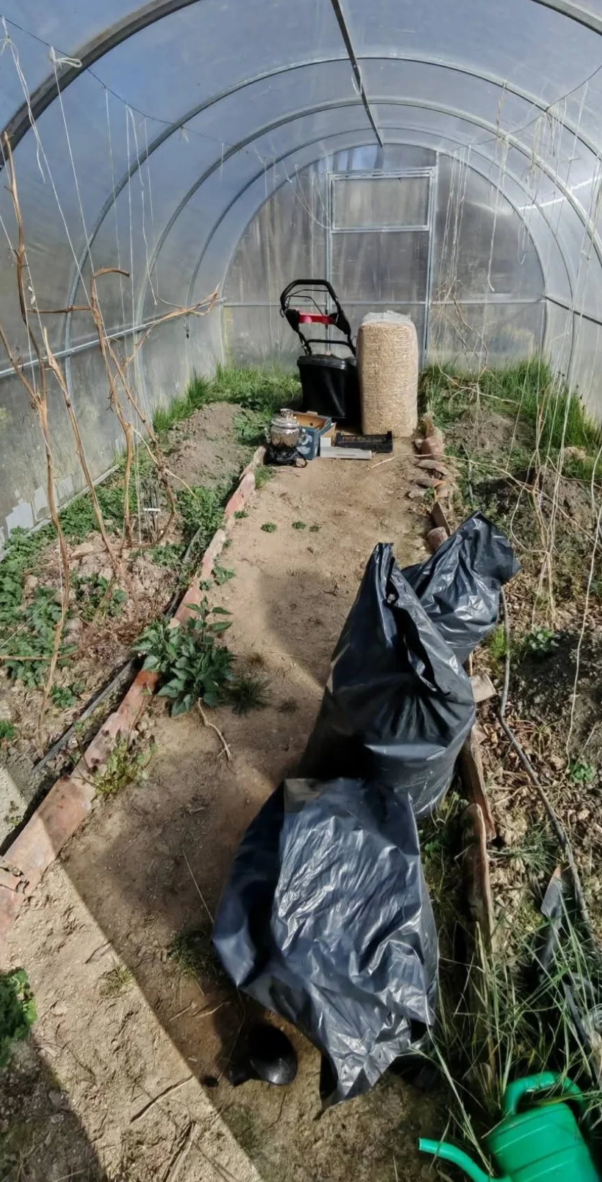 Фермерски пазар в Стара Загора – Happy Garden / Щастливата градина – професионални градинарски услуги – снимка 6