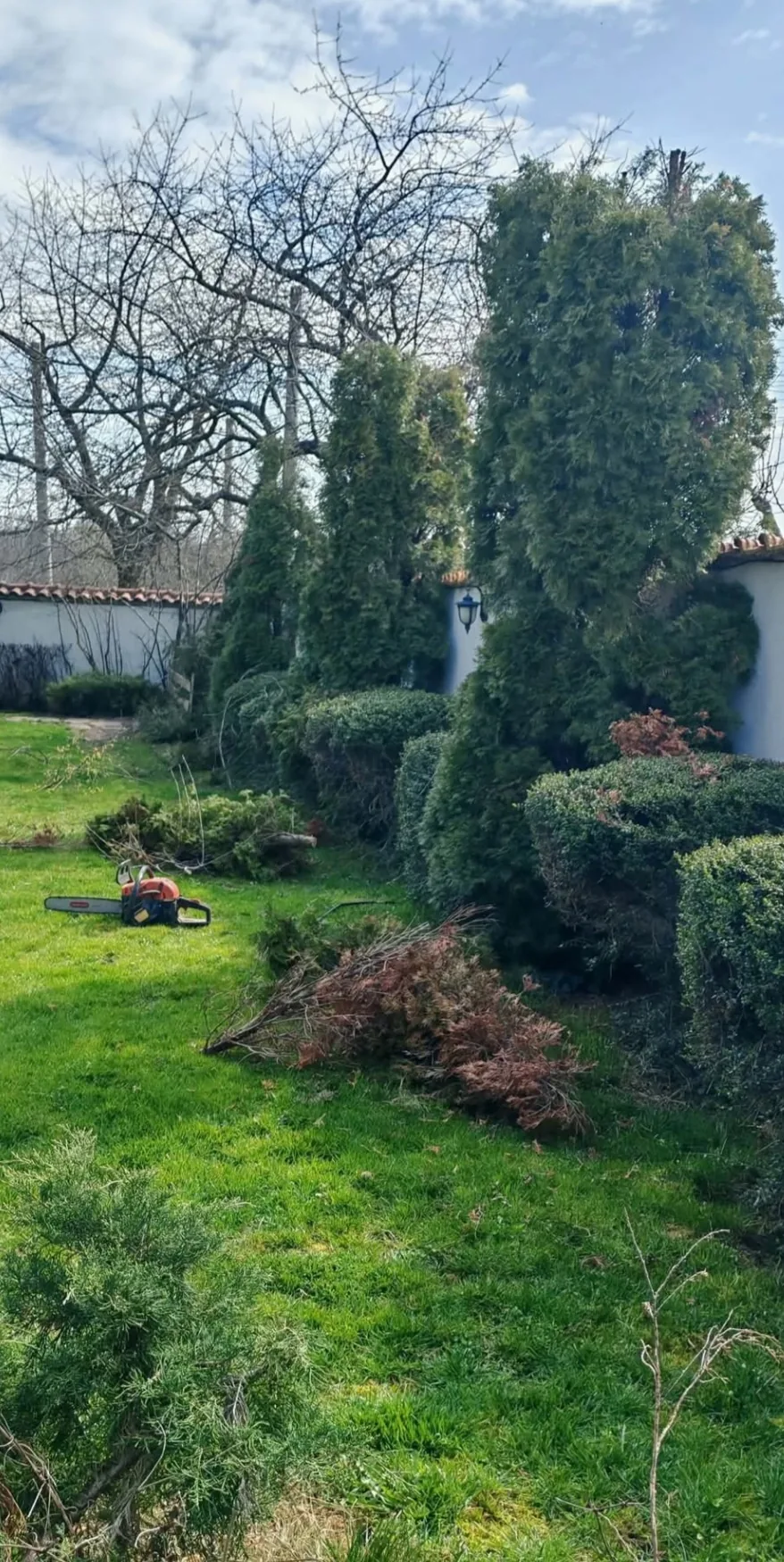 Фермерски пазар в Стара Загора – Happy Garden / Щастливата градина – професионални градинарски услуги – снимка 7