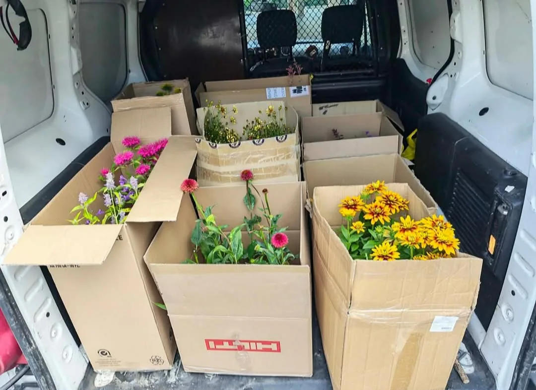 Фермерски пазар в Стара Загора – Happy Garden / Щастливата градина – професионални градинарски услуги – снимка 8