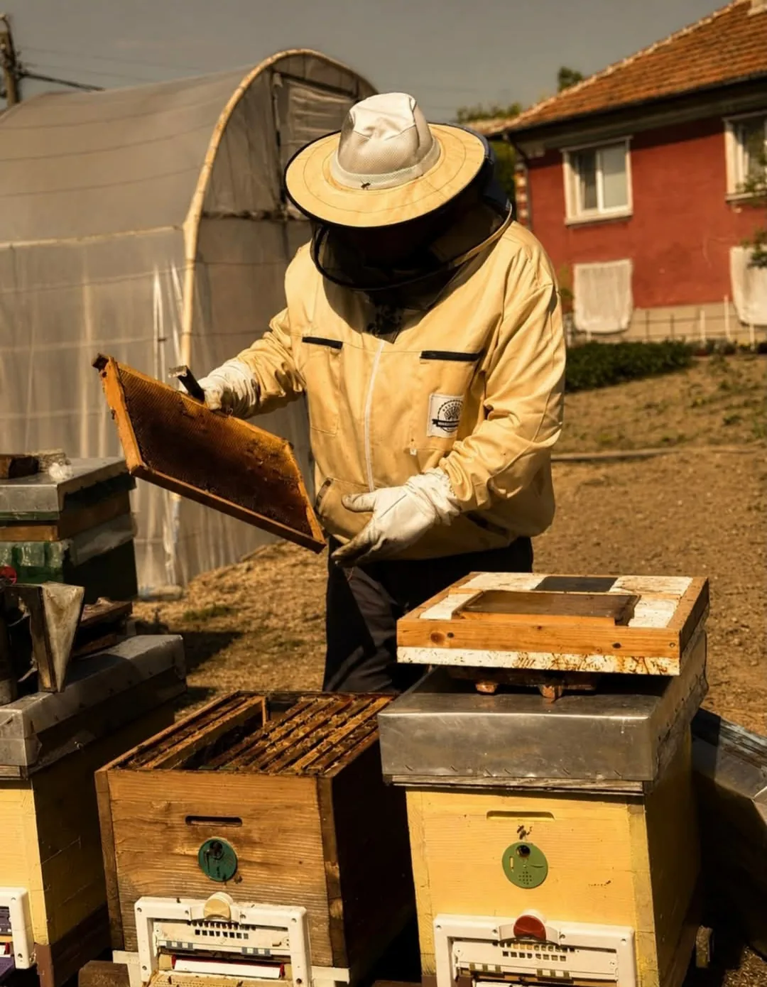 Фермерски пазар в цялата България – From Bees – мед от собствени кошери в с. Черничево, област Пловдив – снимка 2