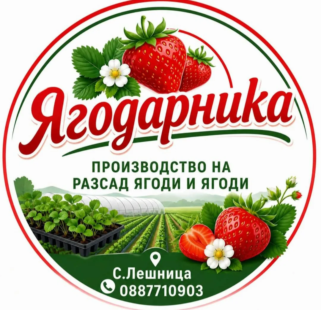 Фермерски пазар в цялата България – Ягодарника-Разсад ягоди от България – снимка 6